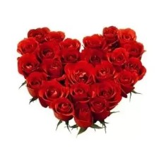 40 Red Roses