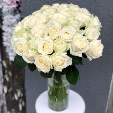 White rose Avalanche