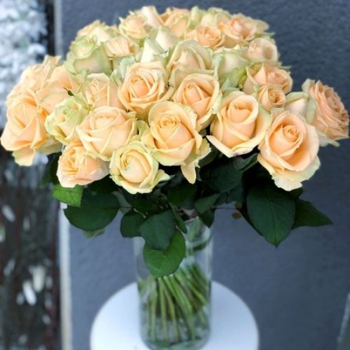 Rose Peach