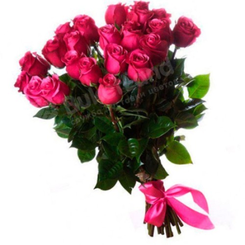 25 Ecuadorian roses 80 cm in assortment (Usual)