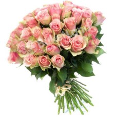 49 Ecuadorian roses 80 cm in assortment (Usual)