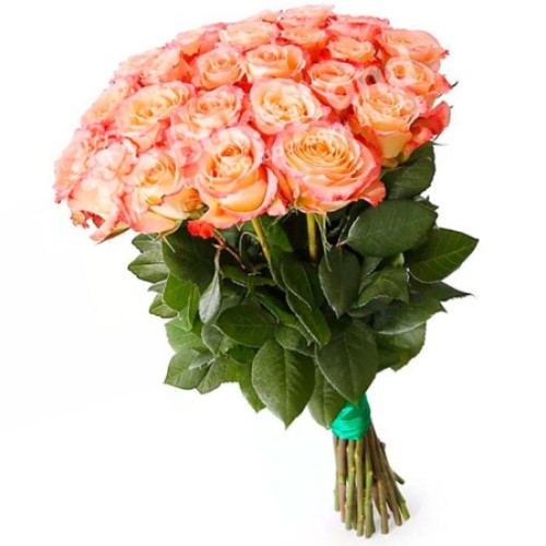 25 Ecuadorian roses 60 cm in stock (Usual)