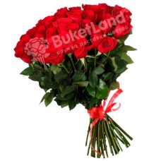 49 red Dutch roses Freedom (Usual)