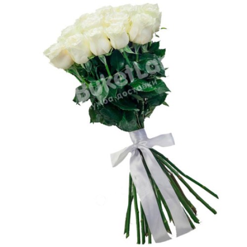 25 white Dutch roses Mondial / White Chocolate (Usual)
