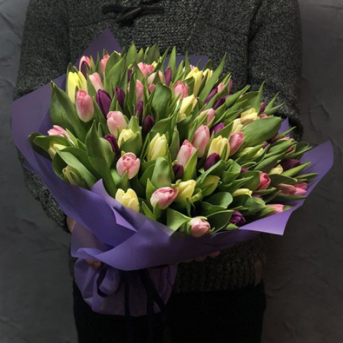 101 tulip mix (Usual)