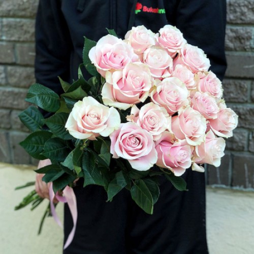17 Ecuadorian roses Pink Mondial 80-90 cm (Usual)