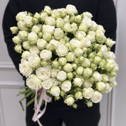 21 bush peony roses in assortment (Usual)