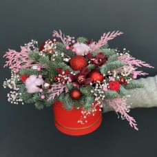 Winter Composition Shine(red)