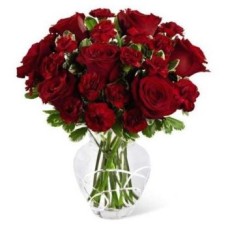8 Red Roses And 6 Red Carnations (Standard)