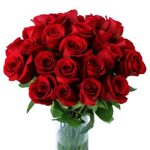 20 Red Roses (Standard)
