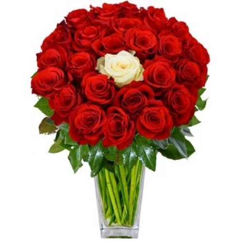 49 Red Roses And 1 White Rose