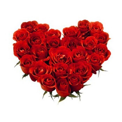 25 Red Roses