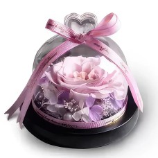 Preserved Pink Rose Beauty