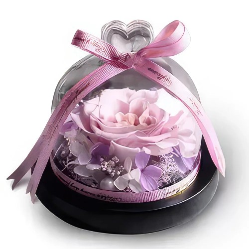 Preserved Pink Rose Beauty