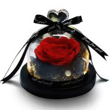 Luxurious Red Rose Dome
