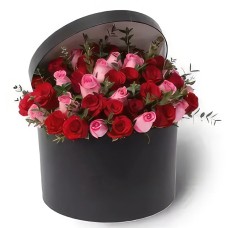 Reddish Blooms Black Box