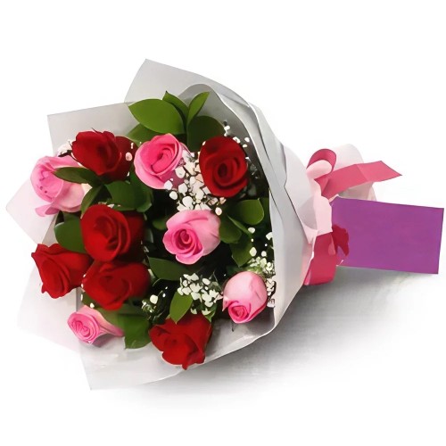 Delightful Red and Pink Roses