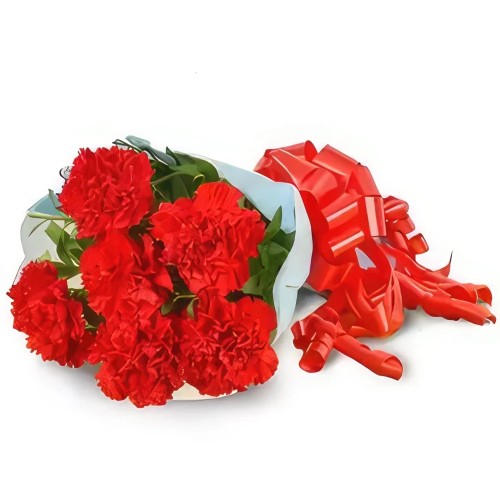 Perfect fresh Cut Red Carnation Stems Bouquet