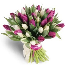 Elegance Pink Purple Roses