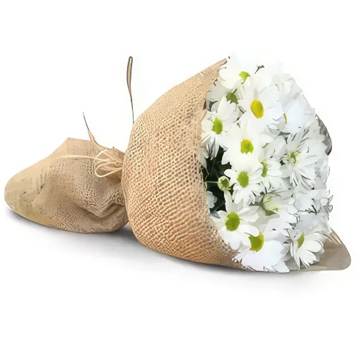 Daisy Delight Rustic Bouquet