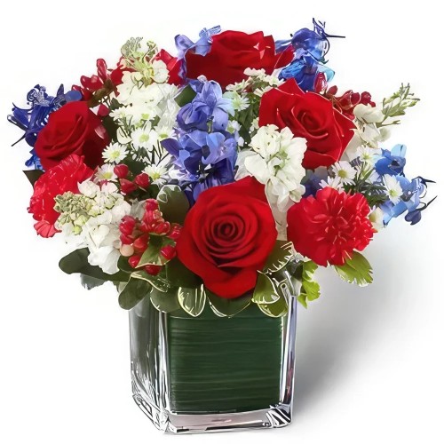 Stunning Reddish Blue Roses