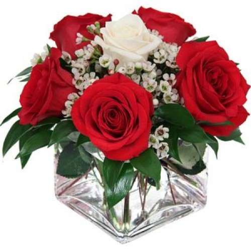 6 Roses In A Vase (Standard)