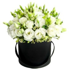 Hat Box White Lisianthus