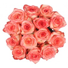 Bouquet Of 15 Blush Pink Roses