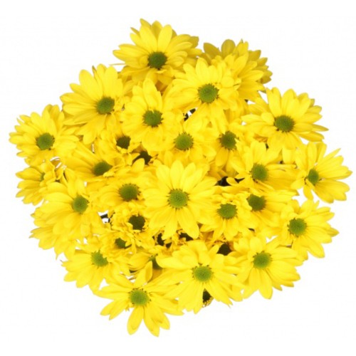 Bouquet Of Flowers 5 Spray Yellow Сhrysanthemums