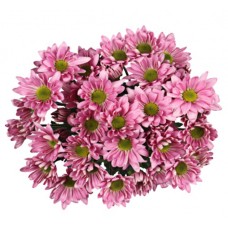 Bouquet Of Flowers 5 Spray Pink Сhrysanthemums Atlantis