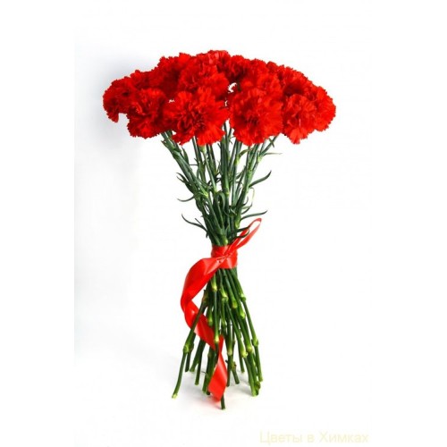 Bouquet Of 21 Red Carnations