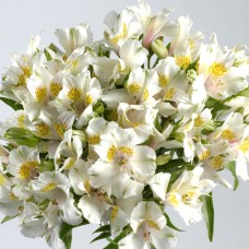Flowers Bouquet 