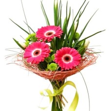 Gerberas Bouquet "Pink& Green"