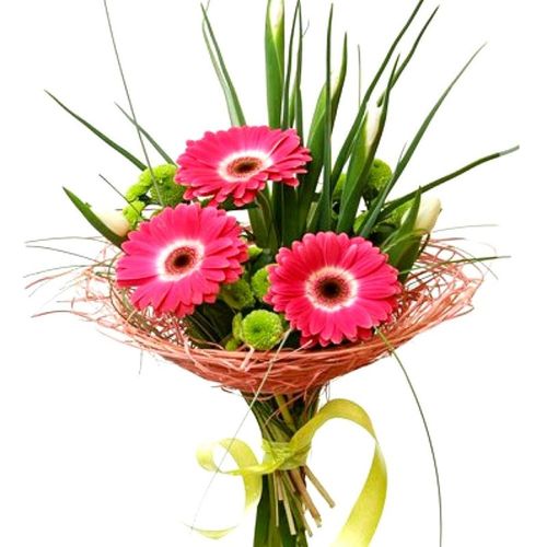 Gerberas Bouquet 