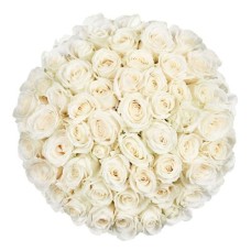 100 white roses | Grower