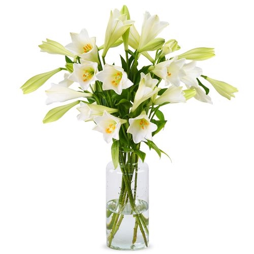 Beautiful white lilies (Small)