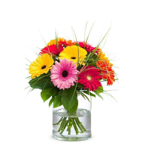 Germini bouquet Joke (Small)