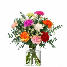 Happy Carnations (Small)