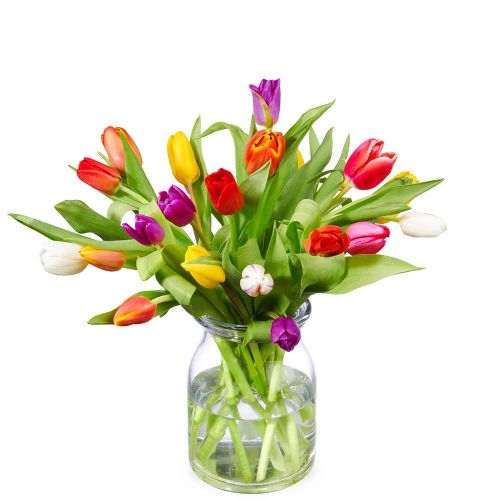 Bouquet of mixed tulips (Small)