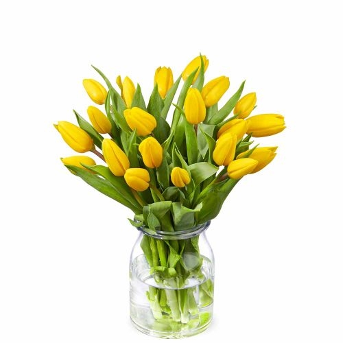 Bouquet of yellow tulips (Small)