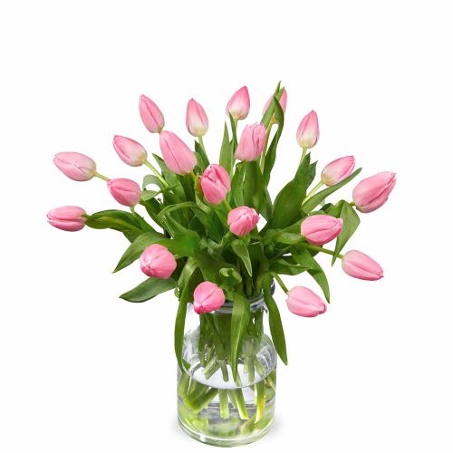 Bouquet pink tulips (Small)