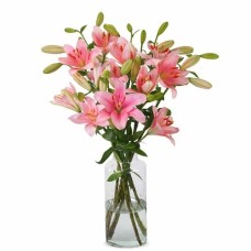 Lilies - Pink Lilies (Small)