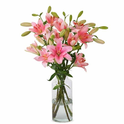 Lilies - Pink Lilies (Small)