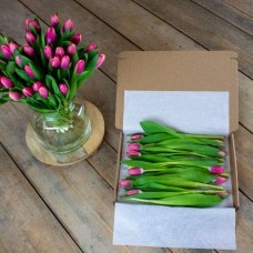 Double Pink Mailbox Tulips