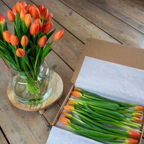 Letterbox Orange Tulips