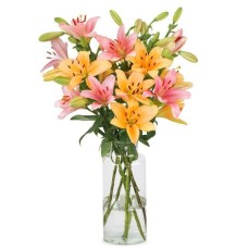 Lilies - Soft mix (Small)