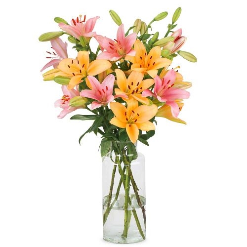 Lilies - Soft mix (Small)
