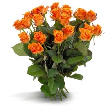 Bouquet Of Orange Roses (Small)