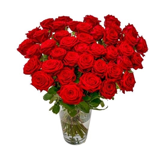 30x red Naomi Roses