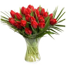 25 red tulips